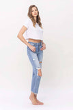 HIGH RISE DISTRESSED CROP DAD JEAN T5838: WHOA / 24