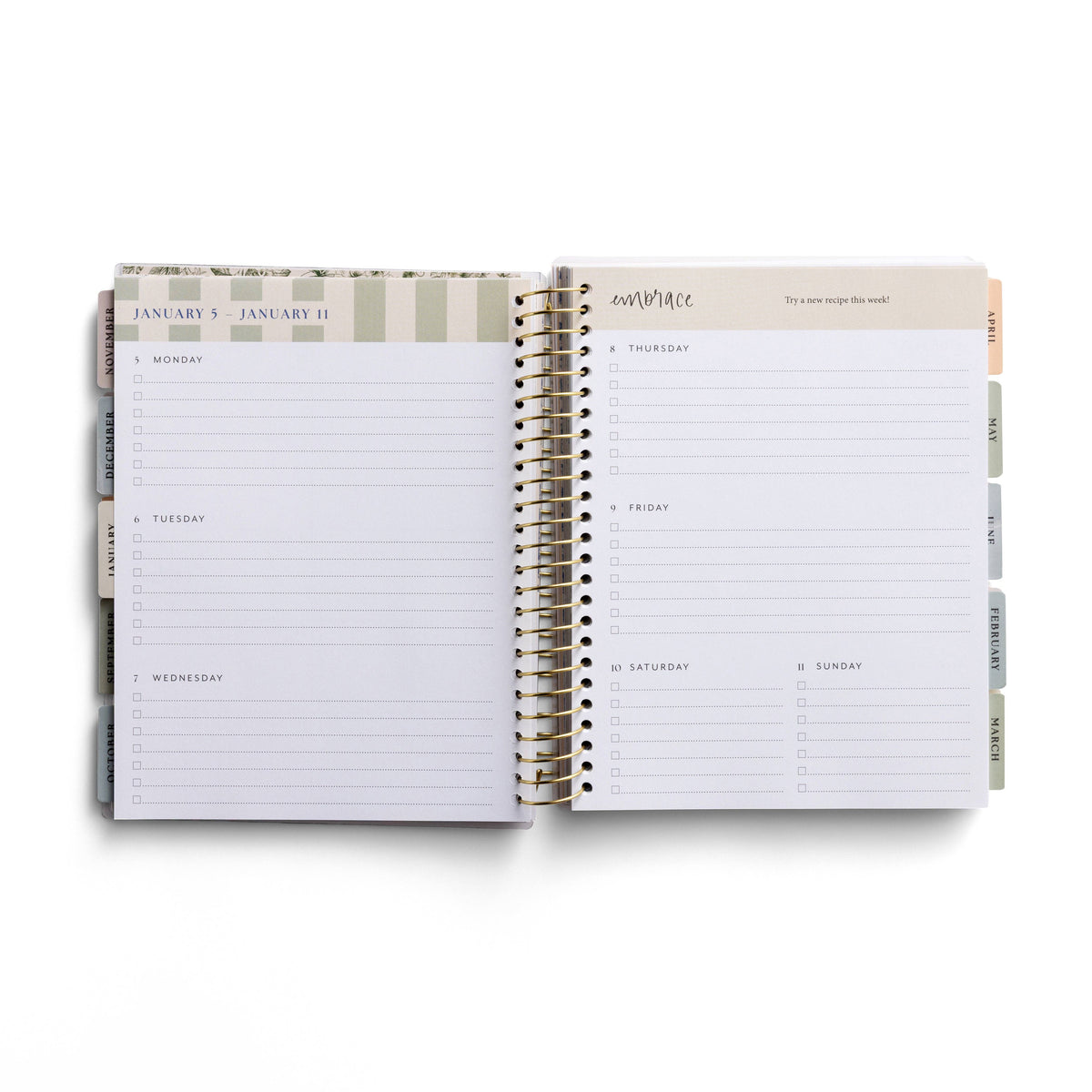 You Have A Purpose 2025-2026 18 Month Planner