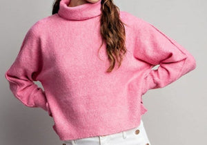 EE Turtle Neck Sweater